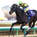 ディープインパクト唯一の国内敗戦 ハーツクライが制した20年前の有馬記念