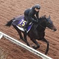 【有馬記念・浅子の特注馬】中山巧者のコスモキュランダは暮れの大舞台で一変ある　皐月賞２着馬に期待
