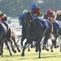 【有馬記念見どころ】昨年の覇者で充実期のレガレイラが連覇に挑む