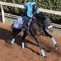 【ホープフルＳ・理貴の特注馬】ジャスティンビスタが３連勝で２歳中距離王へ　あるぞ吉岡厩舎２週連続２歳Ｇ１制覇