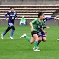 クワトロガールズFC、2年ぶり3回目の優勝　少年少女草サッカー