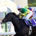 有馬記念勝ち時計ランキング 04年秋古馬三冠Vの快挙が今なお1位