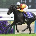 「12月28日」の有馬記念は“9文字の馬名”が狙い!? ラストランになる点も追い風に