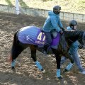 【ホープフルＳ】ジャスティンビスタで吉岡厩舎が２歳Ｇ１連勝へ　陣営「どんな競馬でもできそう」