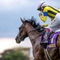 【先週のJRA抹消馬】23年皐月賞馬のソールオリエンス、ダート短距離重賞5勝のリメイクなど