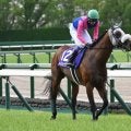 【有馬記念の過去10年データ】中山の直線は短い 脚質のセオリーは逃げ・先行馬