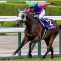 【有馬記念】武豊騎手が歴代単独トップの5勝目なるか 宝塚記念覇者のメイショウタバルで参戦