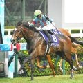 2歳マイル王者に輝いたカヴァレリッツォ 血統構成は成功馬多数の要注目配合