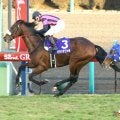 【有馬記念過去の名勝負】日高生まれの“中山の鬼”が全競馬ファンの度肝抜いた…馬主も生産者も現場に不在のサプライズＶ