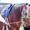 【有馬記念】ナイスネイチャも歩んだ道 マイルCSからのローテで馬券内に入った馬たち