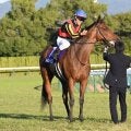 【有馬記念想定騎手】レガレイラはC.ルメール騎手、ミュージアムマイルはC.デムーロ騎手