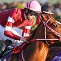 【有馬記念】外国産馬として18年ぶりの参戦 シンエンペラーがGI初制覇なるか