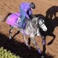 【有馬記念】アドマイヤテラは坂路でパワフルな動き　友道調教師「今の状態なら器用な競馬ができそう」