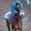 【有馬記念】サンライズジパングは肉体面の上積み大　前川調教師「筋肉が戻ってきた」