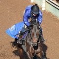 【有馬記念】ミュージアムマイルはグランプリ制覇へ好調キープ　高柳大調教師「安定感がさらに出てきた」