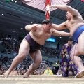 結びの一番に強い王鵬　驚異の勝率72・7％　豊昇龍、大の里の両横綱から金星／日刊大相撲大賞