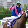 阪神タイガース優勝年の有馬記念は「4歳牡馬」に注目！ 過去6回中5回が該当