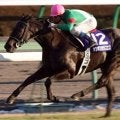 有馬記念着差ランキング 1位は“GI史上最大タイ”の圧勝劇