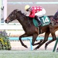２３年フェアリーSなど重賞２勝馬のキタウイングが現役引退へ　小島調教師「えらい馬だったと思います」