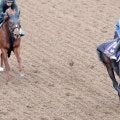 【有馬記念】コスモキュランダは初ブリンカーで過去最高の動き　加藤士調教師「さらにいいなと感じている」