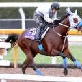 【有馬記念】メイショウタバルがＣＷコースで鋭く１１秒３　石橋調教師「思った通りの時計だし、良かったと思う」
