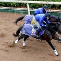 【有馬記念・山下が見た】ミュージアムマイルが調教最高評価　その理由と「皐月賞以上」陣営の期待
