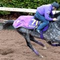 【有馬記念・考察】「前よりメッチャいい」乗り手の感触から不安が吹き飛んだアドマイヤテラ　攻め馬地味でも問題なし