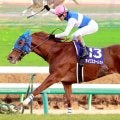 【有馬制した牝馬３】ダイワスカーレットが歴史的な逃走劇　３７年ぶりの快挙が”ラストラン”に