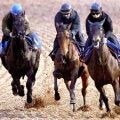 【有馬記念・角田が見た】レガレイラは１週前に比べて格段に良化も完調にはやや物足りず　陣営「整ってきました」