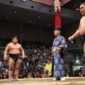 今年最多金星は伯乃富士の３個、現在３場所連続獲得中…三役昇進まで記録続くか／日刊大相撲大賞
