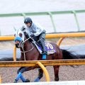【有馬記念】ドラマ「ザ・ロイヤルファミリー」出演の勝浦正樹元騎手がメイショウタバルに自信の◎