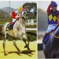 オグリキャップvsタマモクロス 芦毛の両横綱が88年有馬記念でみたび激突