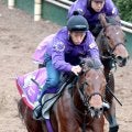 「今年の競馬は終了」「マジかよ。軸消えた」１番人気必至の有力馬の出走回避にＳＮＳで悲鳴が続出　ラヴェニューが発熱