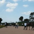 【有馬記念出走馬・騎手確定】レガレイラ＆C.ルメール騎手、ダノンデサイル＆戸崎圭太騎手など16頭