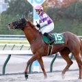 【兵庫ＧＴ】５９キロのサンライズフレイムは「浦和のような競馬ができれば崩れない」　出走馬の全陣営コメント