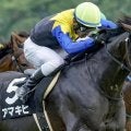 【グレイトフルS】母は名牝アパパネ アマキヒがオープン入りなるか