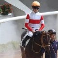 母は2歳女王のダノンファンタジー ダノンベルビューがC.ルメール騎手で初勝利なるか