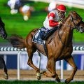 【有馬記念】過去10年で勝利＆複勝率トップ「5枠」に入ったのはダノンデサイル＆コスモキュランダ 枠順抽選会2025