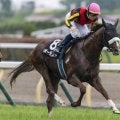 【ファイナルS】近親には活躍馬ずらり 良血馬ボーモンドがオープン入りなるか