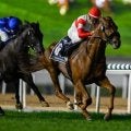 【有馬記念・調教後馬体重】ダノンデサイルは520kg、レガレイラは484kg