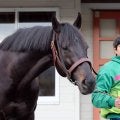 【有馬記念】ラストランのジャスティンパレスに万感の思い　デビューから担当してきた池水助手「名残惜しさは半々」