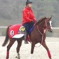 【有馬記念】シンエンペラーはＣＷコースで軽め　陣営「頭が高くてもリラックスした走り」