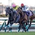 【有馬記念の過去10年データ】「内枠有利 外枠不利」が決まり文句 軸は内枠から中間枠で