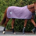 【有馬記念】ダノンデサイルは落ち着き十分　安田調教師「レースへ向けてなだめるための調教をしました」