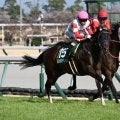 【阪神C予想】前走4角の位置取りと阪神芝1400mの実績が鍵！ 近況いまひとつで消去法にも当てはまる人気馬とは