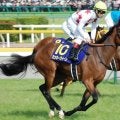母はGI・2勝のミッキークイーン エピファネイア産駒のミッキーファルコンが新馬勝ち目指す