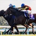 【有馬記念】連覇かかるレガレイラは484kg…出走馬の調教後の馬体重