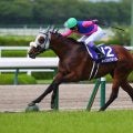 武豊騎手 今週の騎乗馬…日曜は有馬記念に一球入魂
