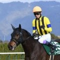 24年京都牝馬S覇者ソーダズリングが登録抹消 今後は社台ファームで繁殖入り