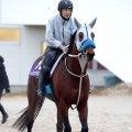 【有馬記念・吉田が見た】「日高の馬」過去にはオグリキャップ、トウカイテイオーがＶ　今年はメイショウタバルに期待